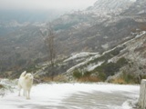 Clicca qui per vedere l'immagine in dettaglio